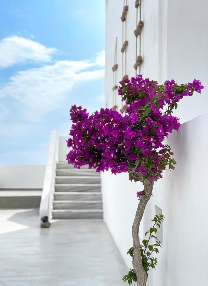 Hermoso Luxury Suites 모노리토스 외부 사진